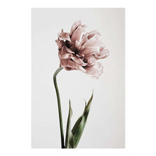 Load image into Gallery viewer, Fuwatacchi Single Tulip