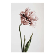 Load image into Gallery viewer, Fuwatacchi Single Tulip
