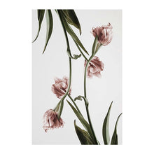 Load image into Gallery viewer, Fuwatacchi Single Tulip
